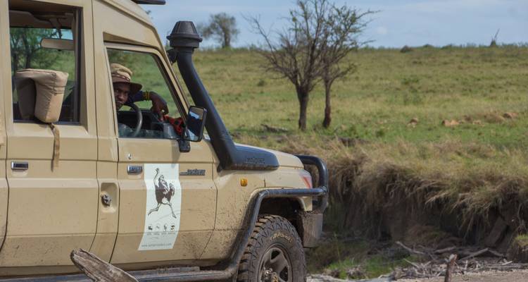 Toeristen in een safarivoertuig die wildlife bekijken op een grasachtige vlakte.