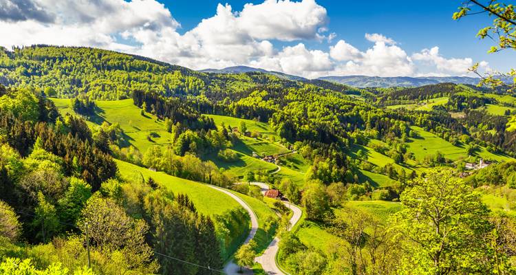 Hermoso paisaje montañoso y exuberante con campos verdes y bosques.