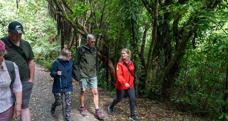 A family walking through a lush green forest trail.