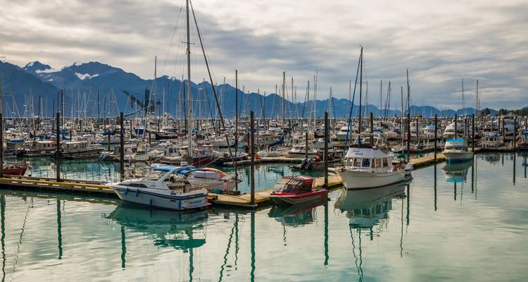 Cientos de barcos descansan en el puerto de Seward con montañas brumosas a lo lejos.