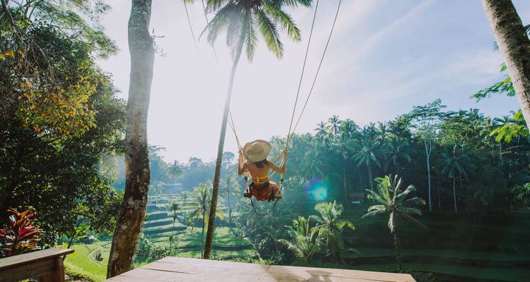 Personne sur une balançoire profitant d'une vue panoramique dans un cadre tropical.