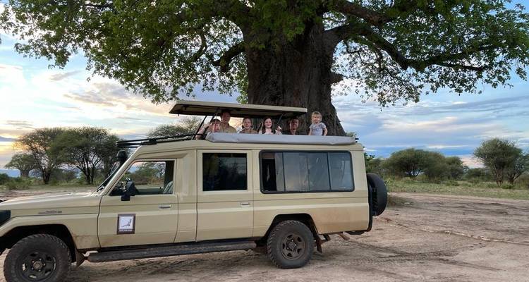Gruppe von Menschen in einem Safari-Fahrzeug unter einem großen Baobab-Baum.