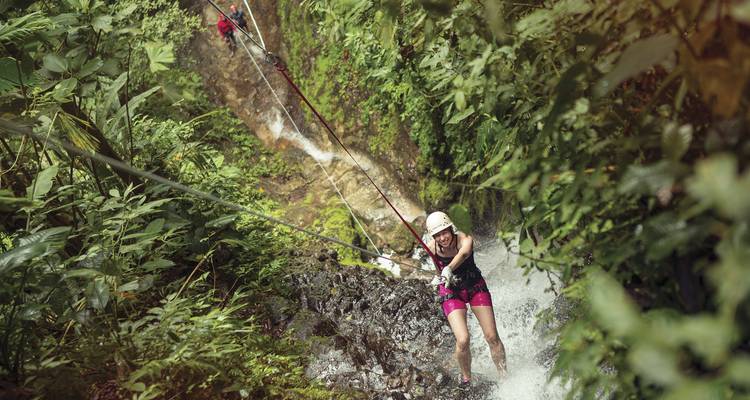 Un aventurero desciende rapelando una cascada de selva tropical rodeado de follaje verde y denso.