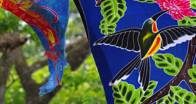 Coloridos banners de tela tropical con colibríes y flores que ondelan al aire libre.