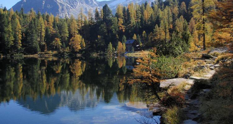 Ein ruhiger Alpensee mit Spiegelungen des Waldes und der Berge.