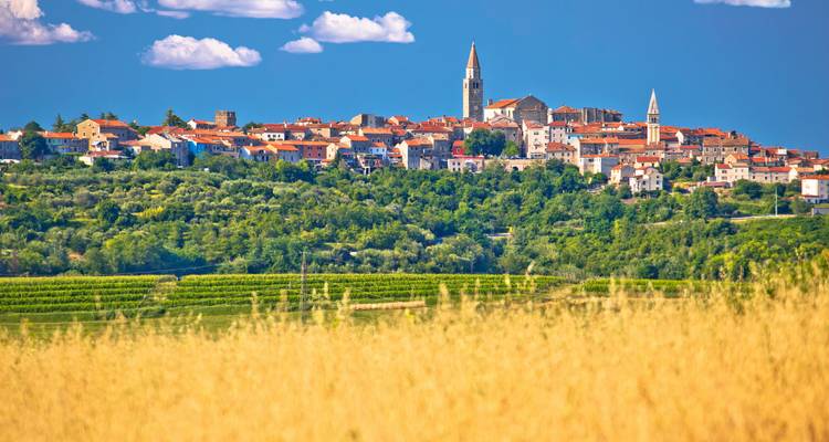 Vue de ville avec verdure luxuriante et champ de blé en arrière-plan.