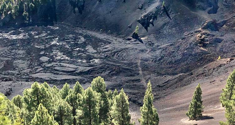 Volcanic landscape with sparse trees.