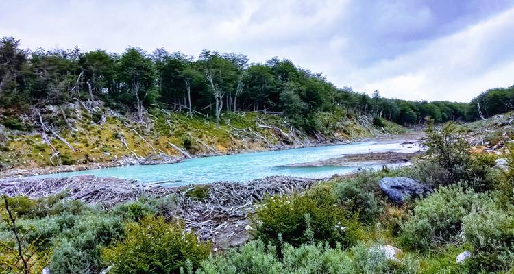 Eau turquoise entourée d'une forêt verte sous un ciel nuageux.