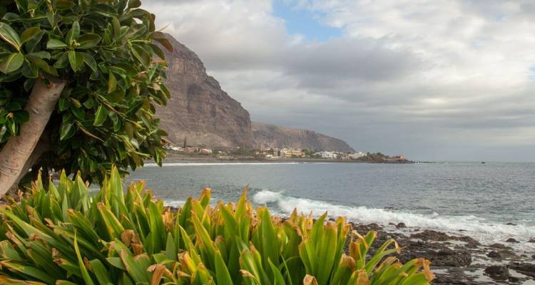 Littoral avec des vagues qui se brisent et de la végétation.