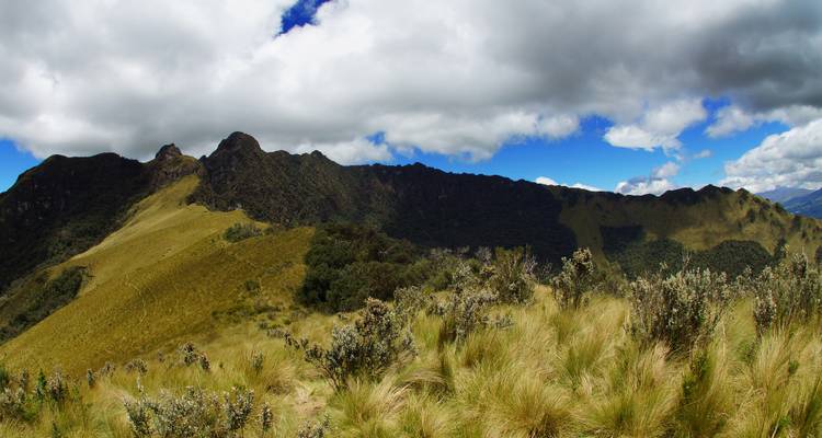 Panoramic view of lush mountain landscape under blue cloudy skies.