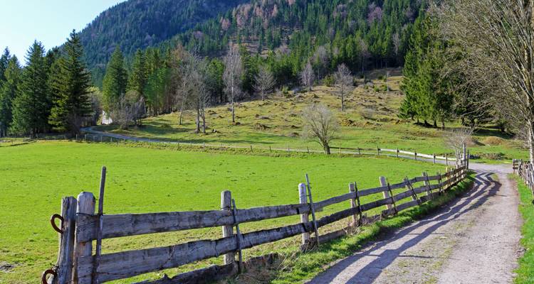 Landweg gesäumt von Holzzäunen mit Hügeln und Bäumen.