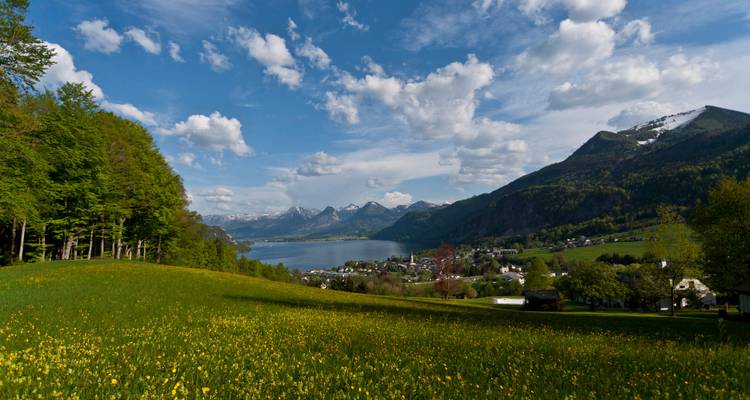 Vue panoramique d'un lac et de montagnes avec une prairie au premier plan.