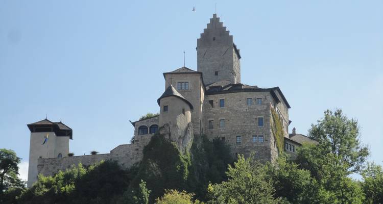 Castillo medieval de piedra en lo alto de una colina con una alta torre escalonada que se alza contra un cielo azul despejado, rodeado de vegetación verde.