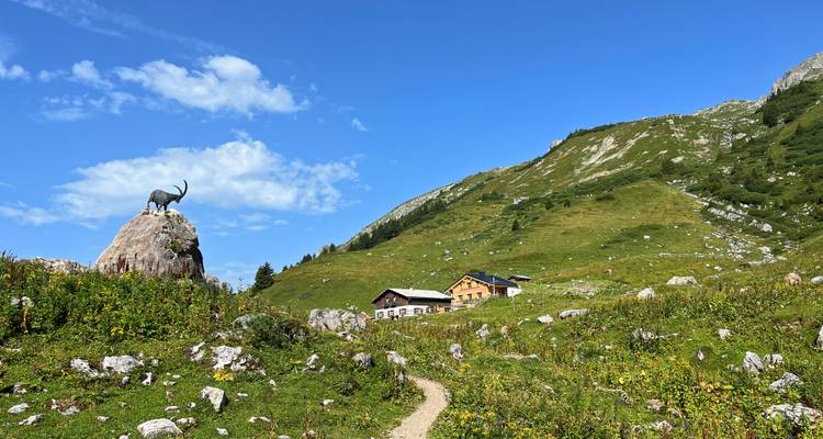 Grasiges Alpenbecken mit Wanderweg zu Berghütten und einer Steinbockstatue auf einem Felsbrocken.