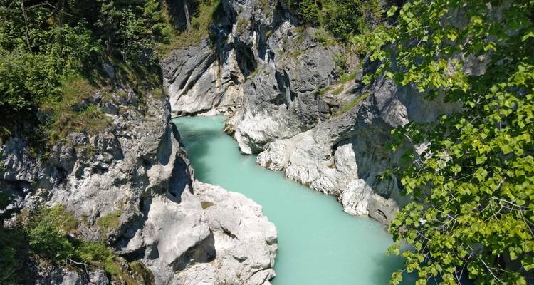 Schmaler türkisfarbener Fluss, der sich durch eine tiefe, zerklüftete Kalksteinschlucht schneidet, beschattet von grünem Laub.