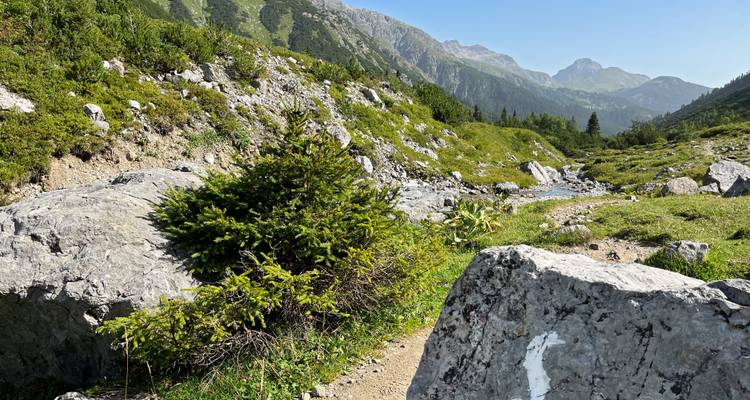 Felsiger Alpenweg gesäumt von Sträuchern mit fernen Berggipfeln unter dunstigem blauen Himmel.
