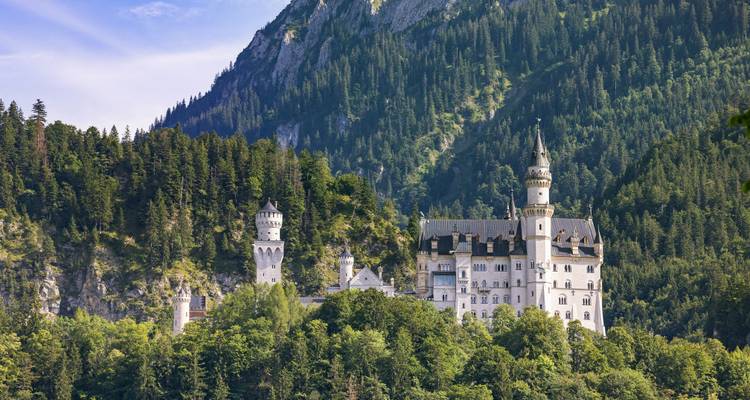 Das ikonische Schloss Neuschwanstein eingebettet in dichten Alpenwald unter hoch aufragenden Klippen.