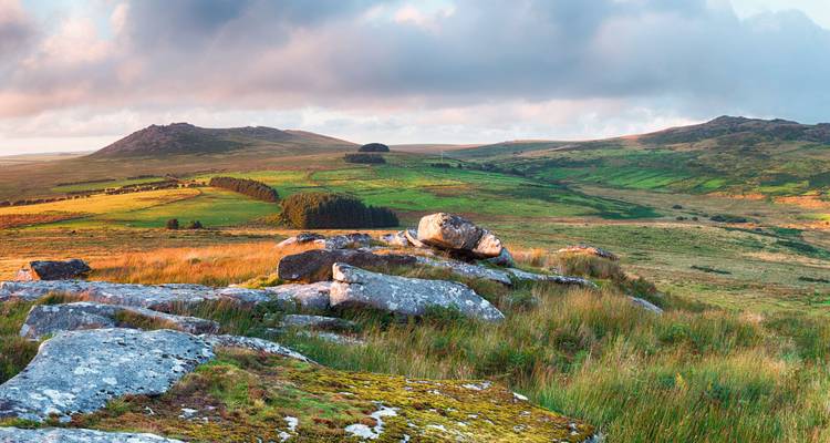 Sweeping moorland of Dartmoor with granite outcrops, grassy valleys, and dramatic clouds lit by warm low sunlight.