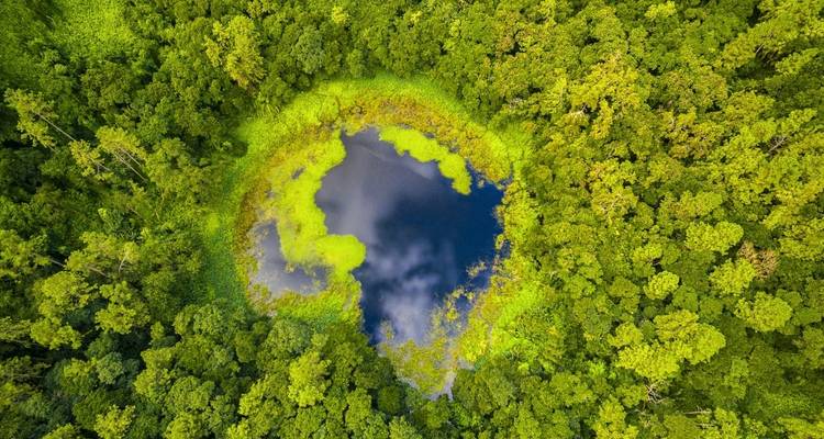 Étang circulaire entouré d'une forêt verdoyante vue d'en haut.
