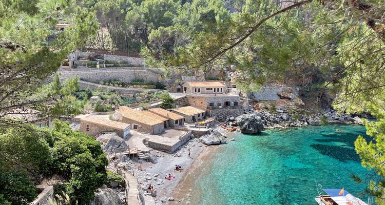 Abgeschiedene Bucht mit türkisfarbenem Wasser, Steinhäusern und Sonnenbadenden an einem Kieselstrand, umrahmt von Kiefern