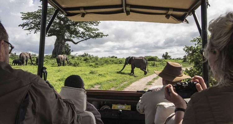 Gruppe von Touristen in einem Safari-Fahrzeug beim Beobachten von Elefanten in der Wildnis.