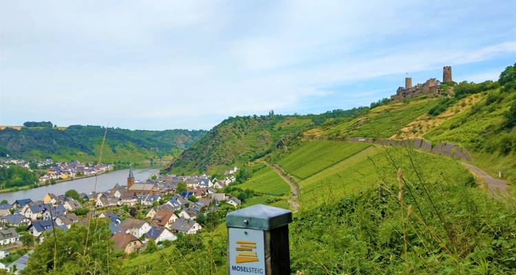 Poste marcador de sendero con logo de Moselsteig sobre un pueblo ribereño y viñedos ondulantes.