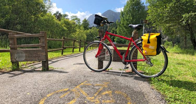 Ein rotes Tourenfahrrad steht auf einem gepflasterten Waldweg, der mit einem gelben Fahrradsymbol markiert ist, Berge blicken durch die Bäume voraus hervor.