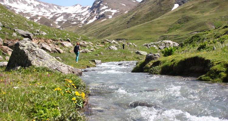 Wanderer an einem Bergbach in einem grünen Tal.