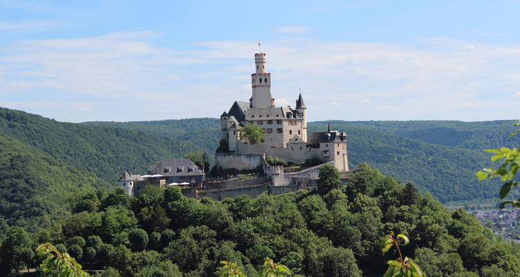 Un château au sommet d'une colline entouré de forêt et de ciel bleu.