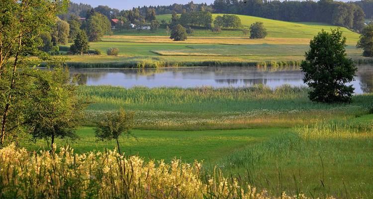 Ruhiger See umgeben von üppiger Landschaft und sanften Hügeln.