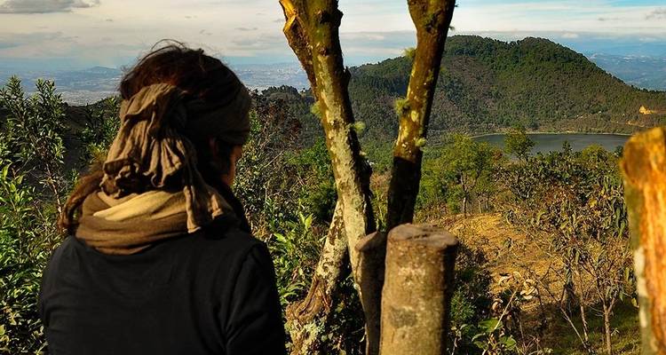 Voyageur regardant les collines boisées et un lac de cratère depuis un point de vue en montagne