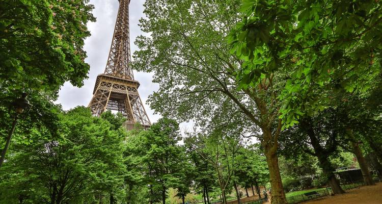 View of the Eiffel Tower partially obscured by trees.