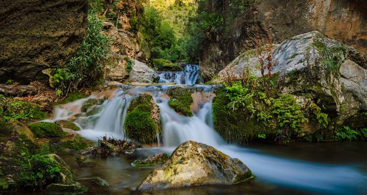 Kleiner Wasserfall, umgeben von moosbewachsenen Felsen und Vegetation.