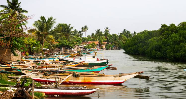 Colorful fishing boats moored along a riverbank with lush vegetation.