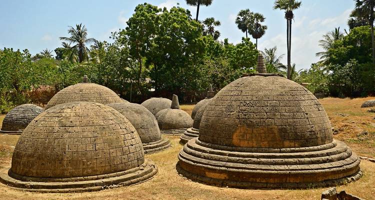 Ancient brick stupas of varying sizes set among tropical vegetation in warm daylight.