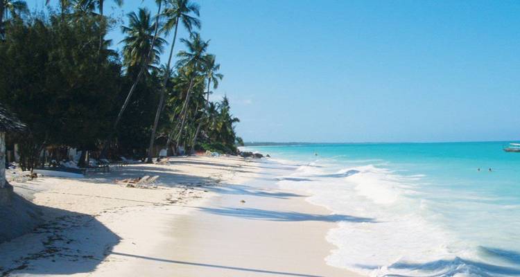 Een tropisch strand met wit zand, turquoise water en palmbomen.