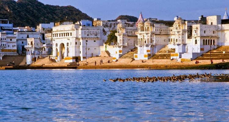 White buildings by a lake with ducks swimming.