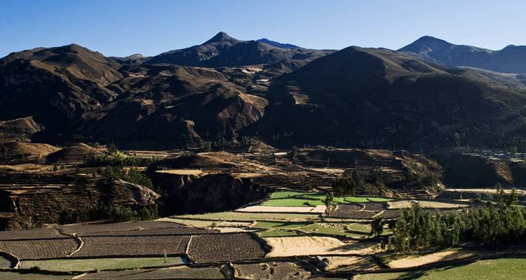 Terrasvormige landbouwvelden in een heuvelachtig landschap.