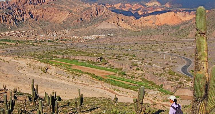 Una persona caminando entre cactus grandes con vista a un valle desértico y una cordillera colorida al fondo.