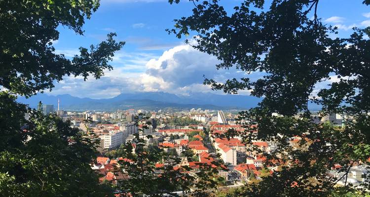 Vue panoramique sur le paysage urbain aux toits rouges de Ljubljana encadré par des arbres avec les Alpes en arrière-plan.
