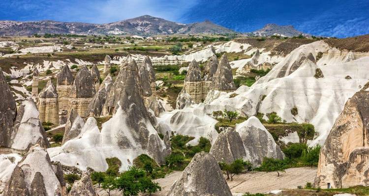 Field of tall white and grey fairy-chimney rock spires scattered across a high plateau in Cappadocia.