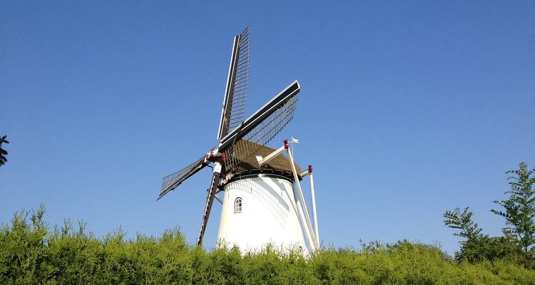 Enkele windmolen tegen een heldere blauwe lucht.