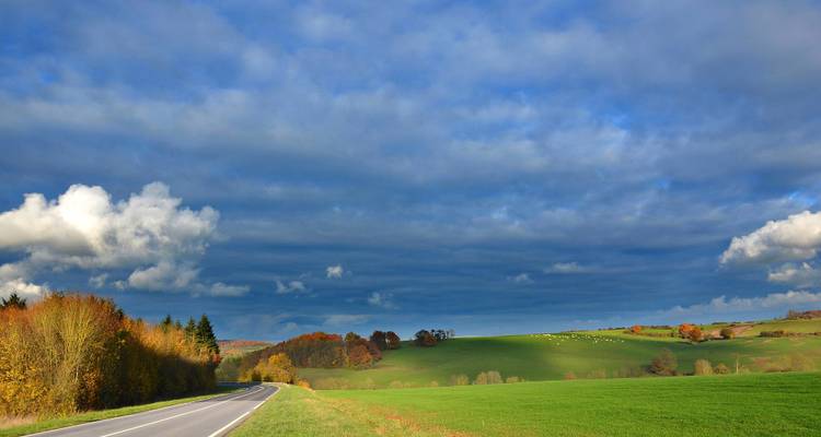 Route de campagne avec champs agricoles et arbres épars sous un ciel dramatique.