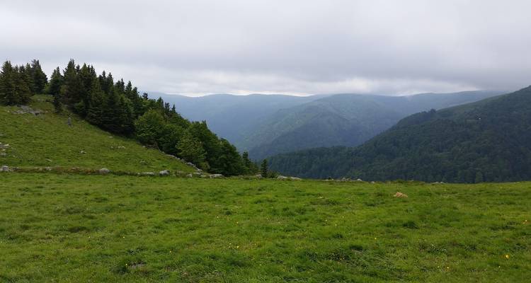 Une vallée verte entourée de collines et d'un ciel nuageux.