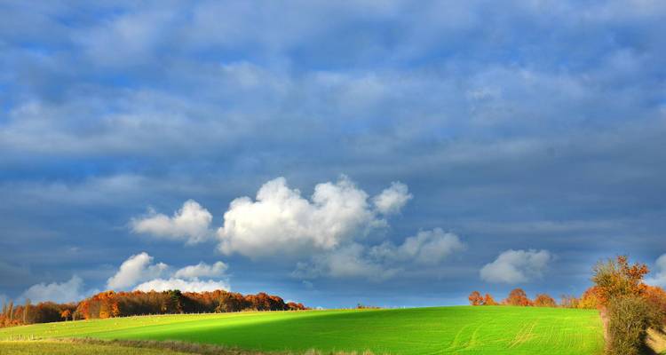 Champ vert vibrant avec un ciel nuageux dramatique.
