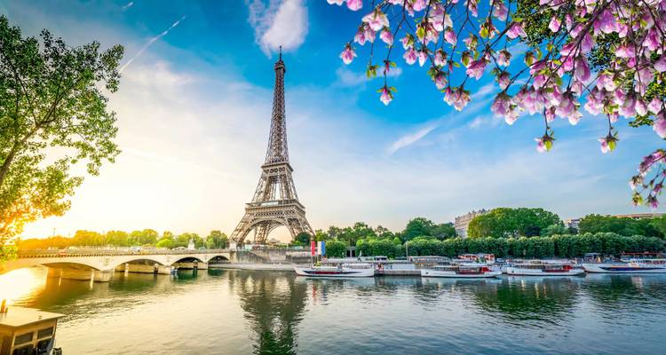 Iconic Eiffel Tower rises above the Seine River with cruise boats and flowering tree branches illuminated by warm evening sunlight.