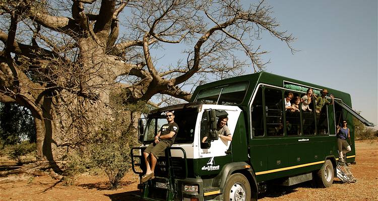 Personas con un camión de turismo junto a un gran árbol baobab.