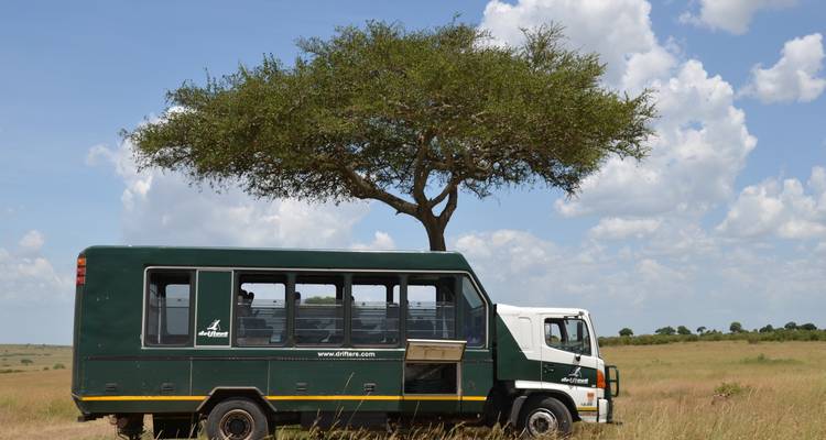 Véhicule de safari garé dans une prairie ouverte sous un acacia.