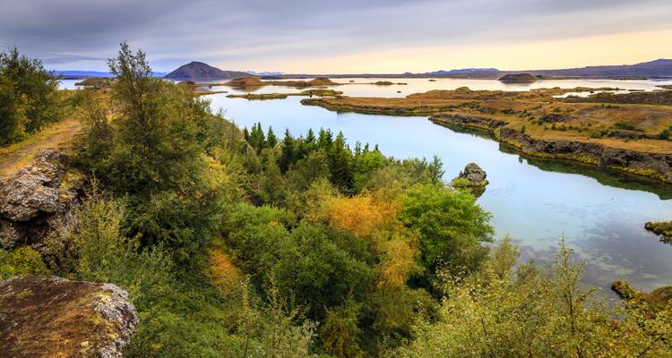 Luchtfoto van een weelderig landschap rondom een meer.