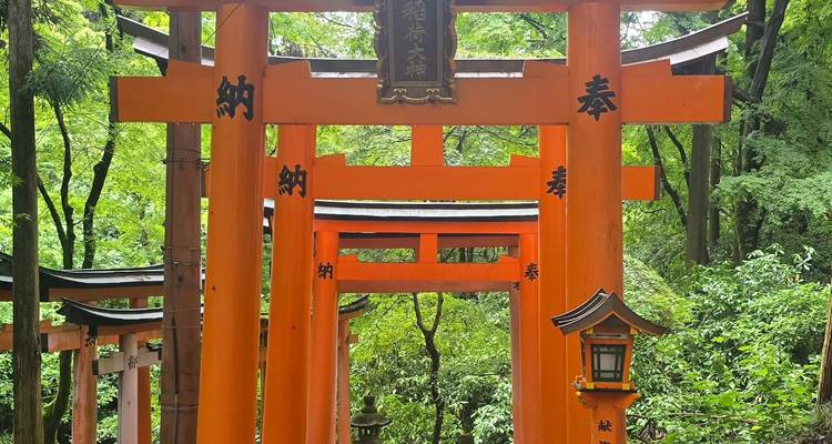 Endless vermilion torii gates form a tunnel through lush forest at Fushimi Inari Shrine.